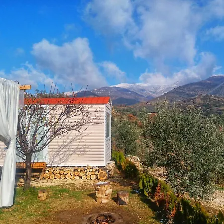 Hayal Tadinda *
