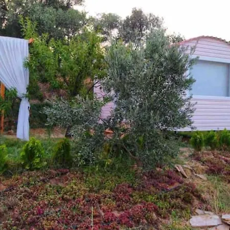 Hayal Tadinda Campsite *